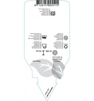 Etichette di Hypericum fragile *