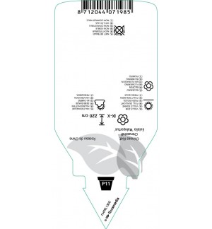 Etichette di Miscanthus sinensis ‘Malepartus’ *