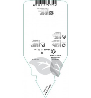 Etichette di Laurentia axilliaris ‘Blue Stars’ *