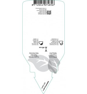 Etichette di Athyrium filix-femina ‘Frizelliae’ *