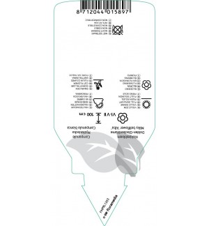 Etiquetas de Campanula lactiflora ‘Alba’ *