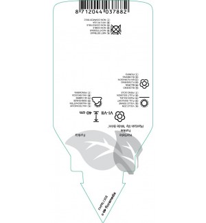 Etichette di Hosta ‘Widi Brim’ *