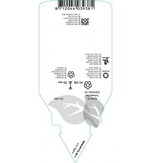Etichette di Iris pallida ‘Variegata’ *