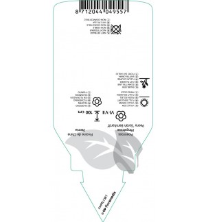Etiquetas de Paeonia (LD) ‘Sarah Bernhardt’ *