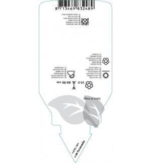 Etichette di Salvia greggii (mix color) *