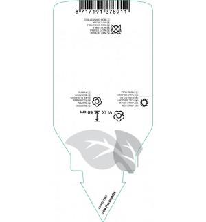 Etichette di Salvia microphylla ‘Hot Lips’ *