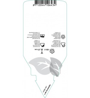 Etichette di Liriope muscari ‘Monroe White *