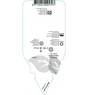 Etichette di Erodium guttatum *