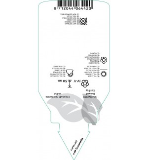 Etichette di Symphytum azureum *