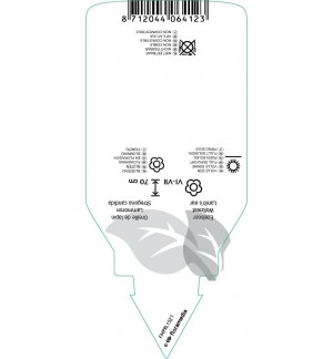 Etichette di Stachys byzantina ‘Cotton Boll’ *