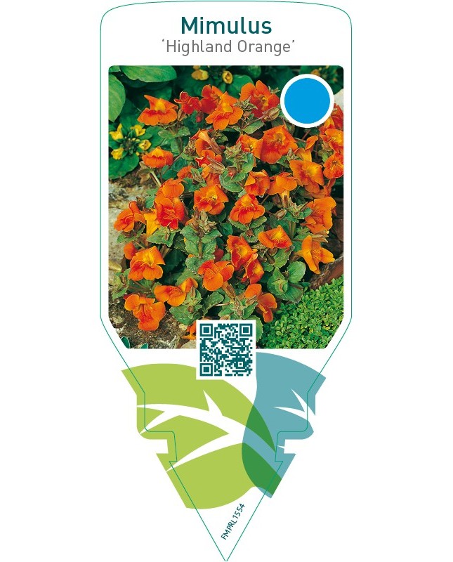 Mimulus ‘Highland Orange’