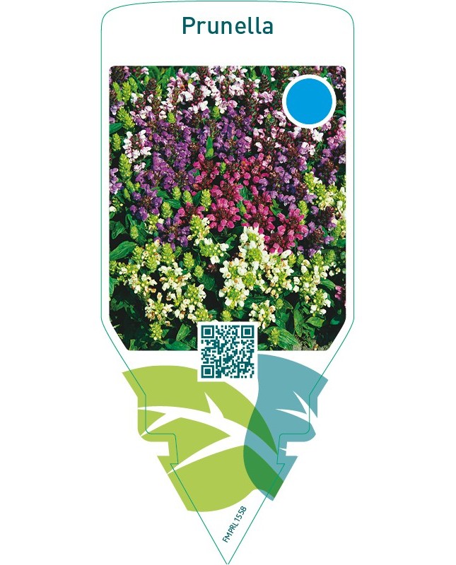 Prunella  mix