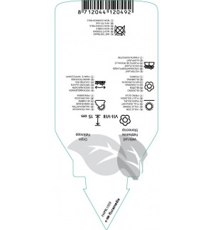 Etichette di Sedum selskianum *