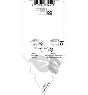 Etichette di Fuchsia ‘Madame Cornelissen’ *