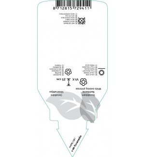 Etichette di Oenothera speciosa ‘Siskiyou’ *