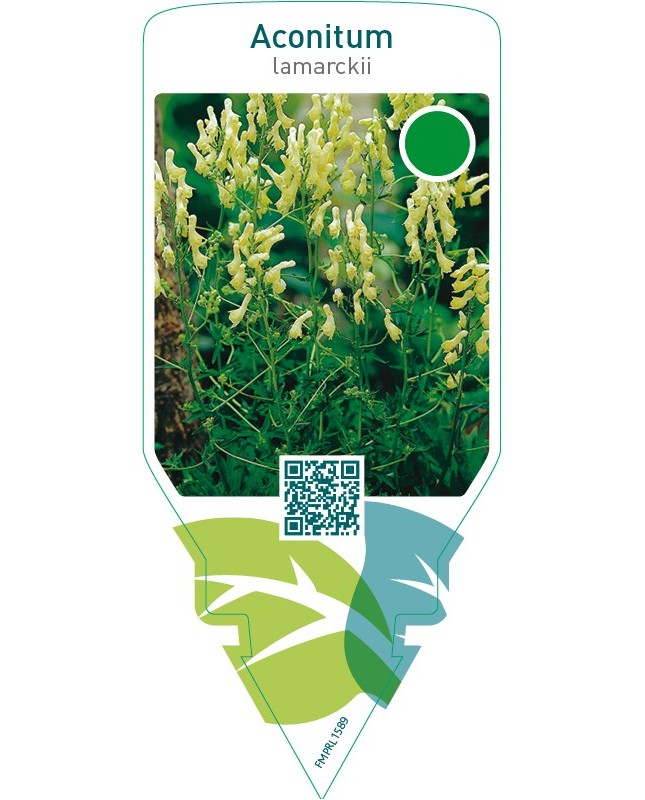 Aconitum lamarckii
