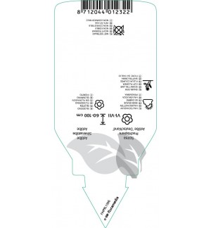 Etichette di Astible (J) ‘diutschland’ *