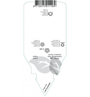 Etichette di Fragaria ‘Elsanta’  late *
