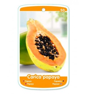 Papaya