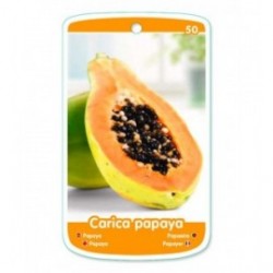Papaya