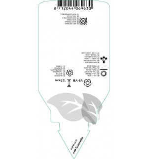 Etichette di Calamagrostis brachytricha *