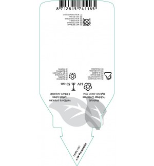 Etichette di Helleborus orientalis ‘Ballard Hybrids’ *