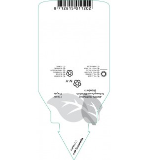 Etichette di Fragaria ‘Gorella’ *