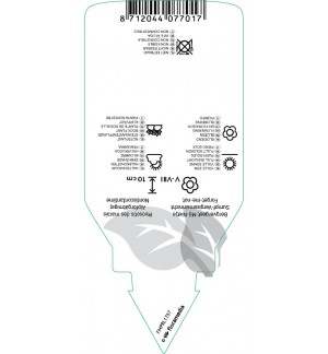 Etichette di Myosotis palustris *