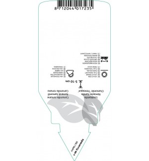 Etiquetas de Chamaemelum nobile ‘Treneague’ *