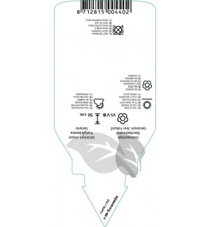 Etichette di Geranium ‘Ann Folkard’ *