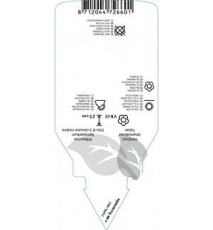Etichette di Hypericum inodorum ‘Excellent Flair’ *