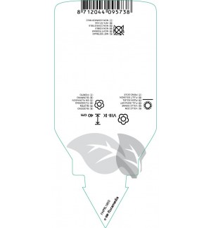 Etichette di Hakonechloa macra *