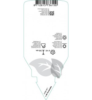 Etichette di Heuchera ‘Petite Pearl Fairy’ *