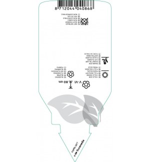 Etichette di Iris (G) ‘Loop the Loop’ *