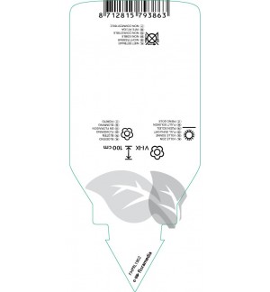 Etichette di Pennisetum setaceum ‘Rubrum Dwarf’ *