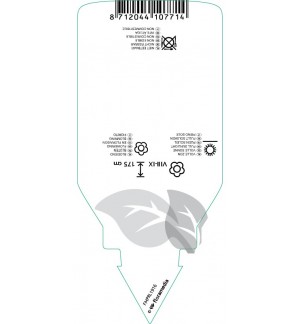 Etichette di Miscanthus sinensis ‘China’ *
