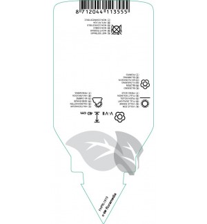 Etichette di Polemonium caeruleum ‘Lambrook Mauve’ *