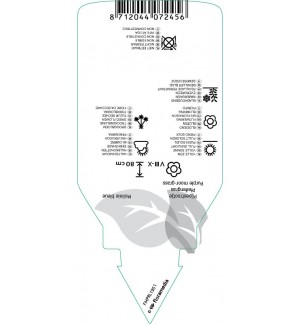 Etiquetas de Molinia caerulea ‘Heidebraut’ *