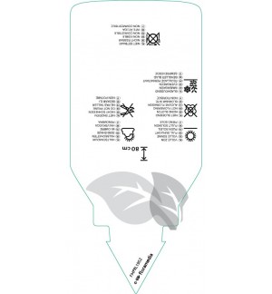 Etichette di Platycladus orientalis ‘Aurea Nana’ *