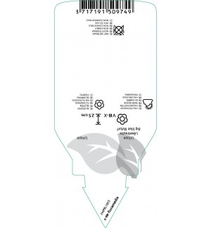 Etichette di Liriope muscari ‘Moneymaker’ *