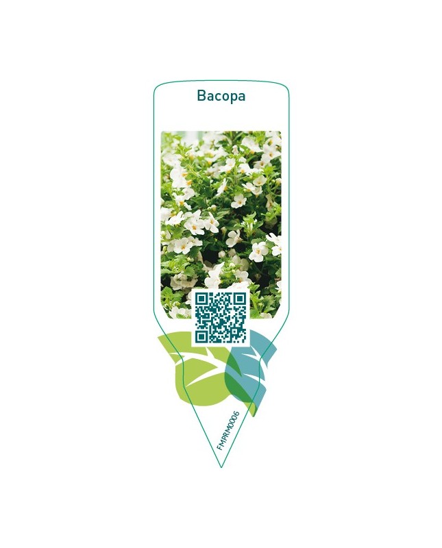 Bacopa