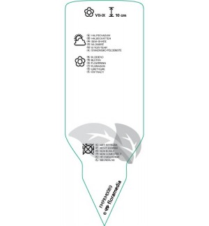 Etichette di Cylamen purpurascens *