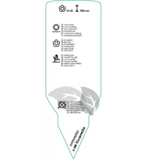 Etichette di dilphinium  mix *