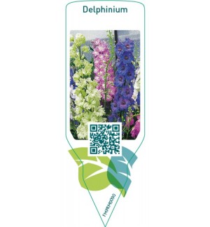 Etiquetas de Delphinium  mix *