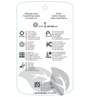 Etichette di Akebia quinata *