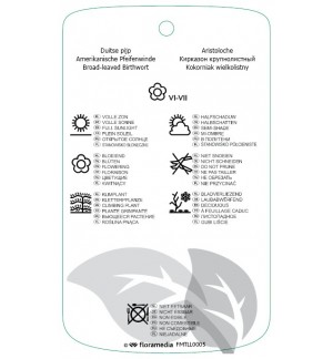 Etichette di Aristolochia macrophylla *