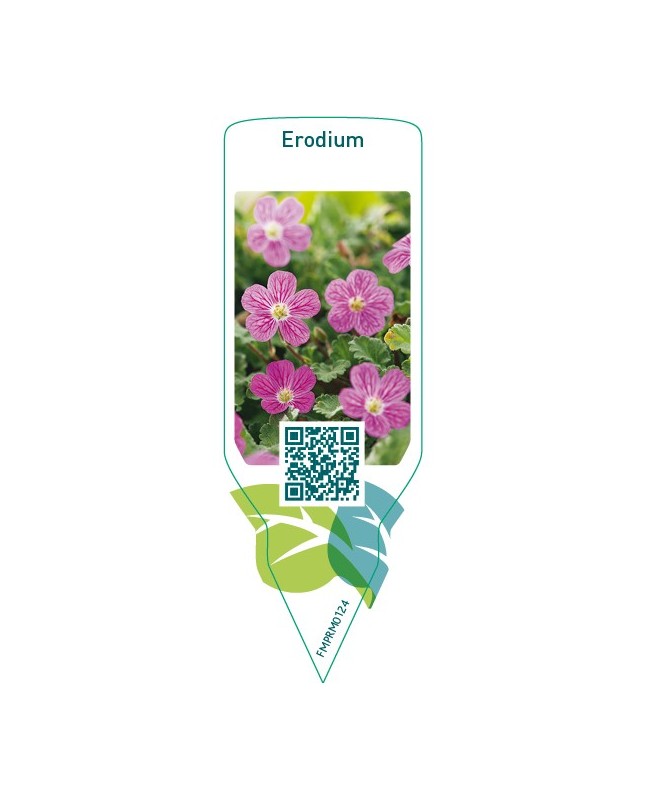 Erodium