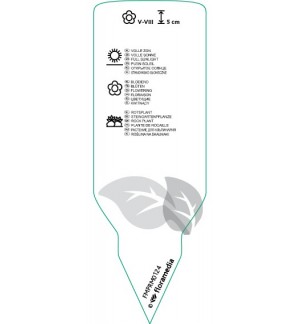 Etichette di Erodium *