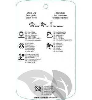 Etichette di Salix purpurea ‘Nana’ *