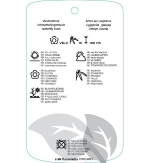 Etichette di Buddleja davidii ‘Black Knight’ *